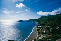 ������-�������