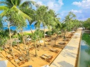  PANDANUS BEACH RESORT (,  )