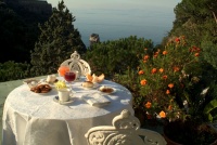 ���� �������