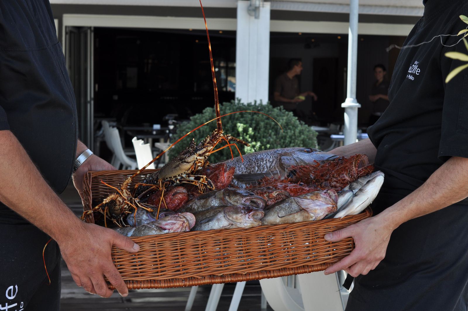 LE GOLFE PORTO POLLO 4*,  