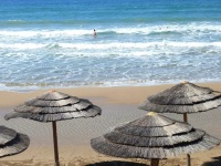 �������