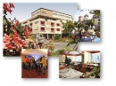  MINOTEL ELITE THUN 3 (, )