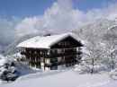  ALPENHOTEL DENNINGLEHEN  4 (, )