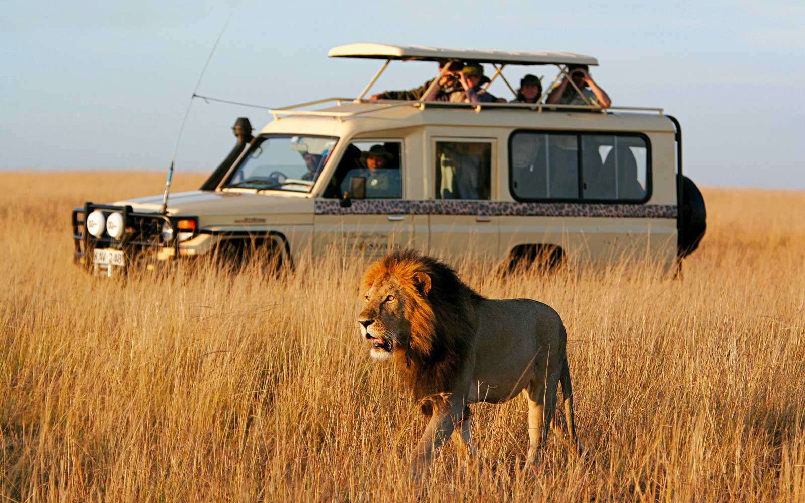 SAFARI EXPERIENCE (--.- -),  