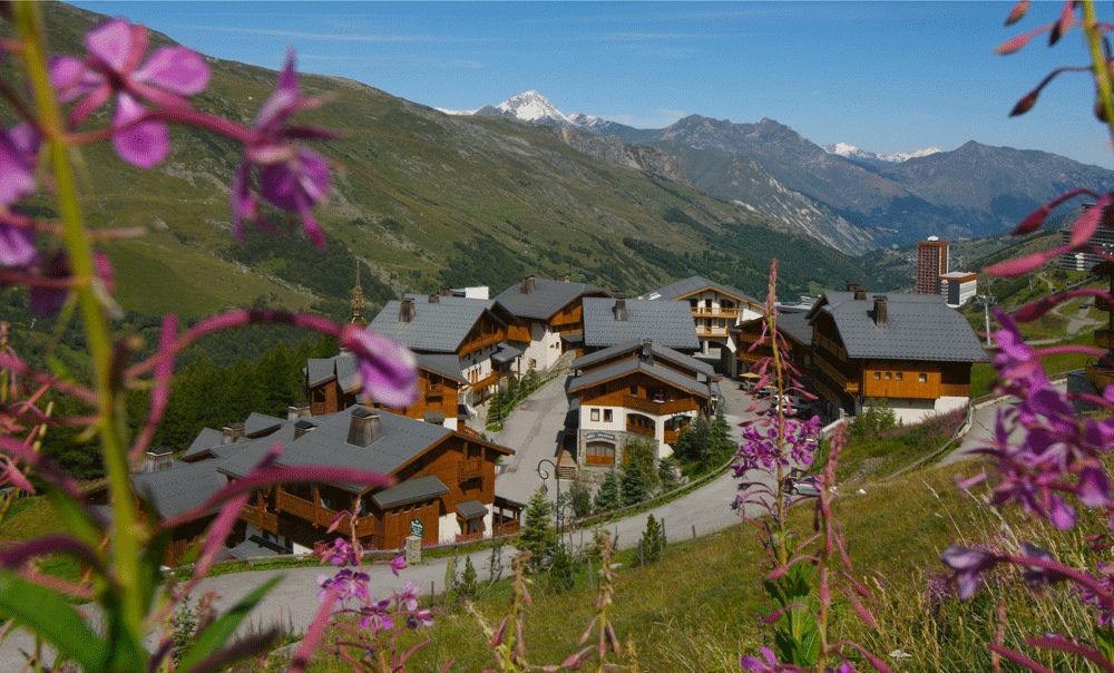 RES. MONTAGNETTES LE HAMEAU DE LA SAPINIERE,  