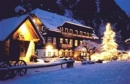  HOTELDORF GRUENER BAUM 4 ( , )