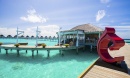 . CENTARA GRAND ISLAND RESORT & SPA 5*