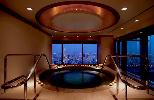 RITZ-CARLTON TOKYO  4*+,  