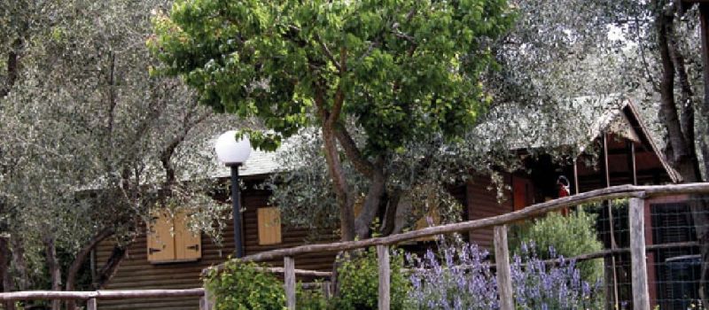 IL PAESE DI CIRIBI,  