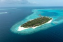  AVANI+ FARES MALDIVES RESORT 5 ( (), )