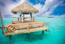 Taj Maldives:    ?   : Taj Exotica Resort & Spa  Taj Coral Reef Resort & Spa 5*