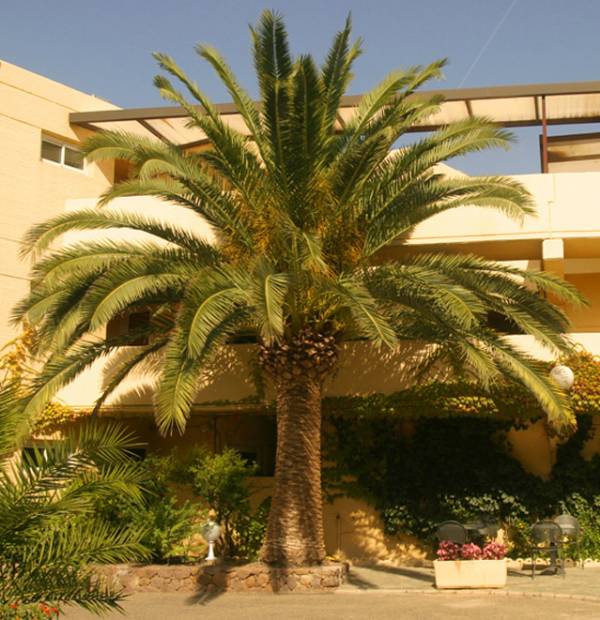 CALVI HOTEL 3*,  