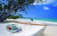 ������ ���