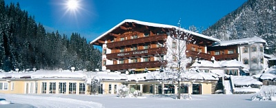 VITALHOTEL EDELWEISS  4*,  