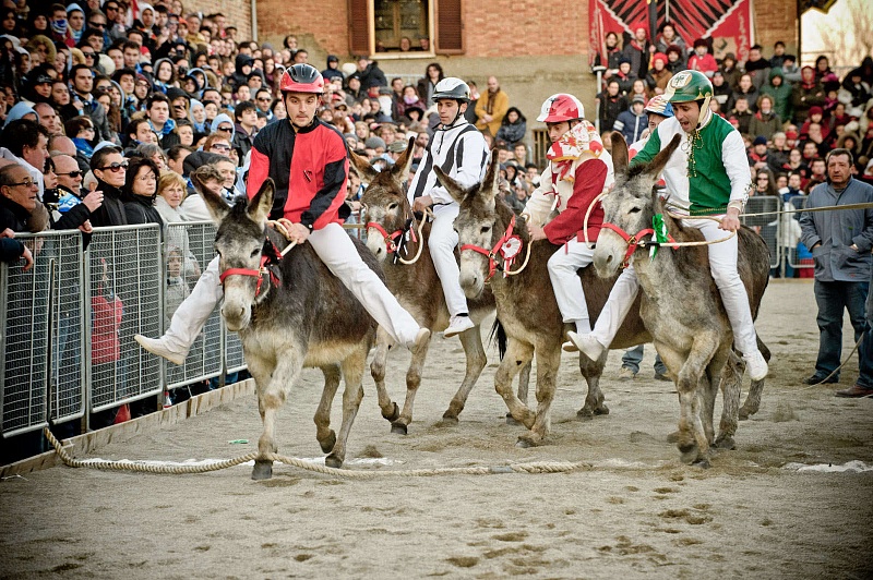 palio-somari-corsa.jpg