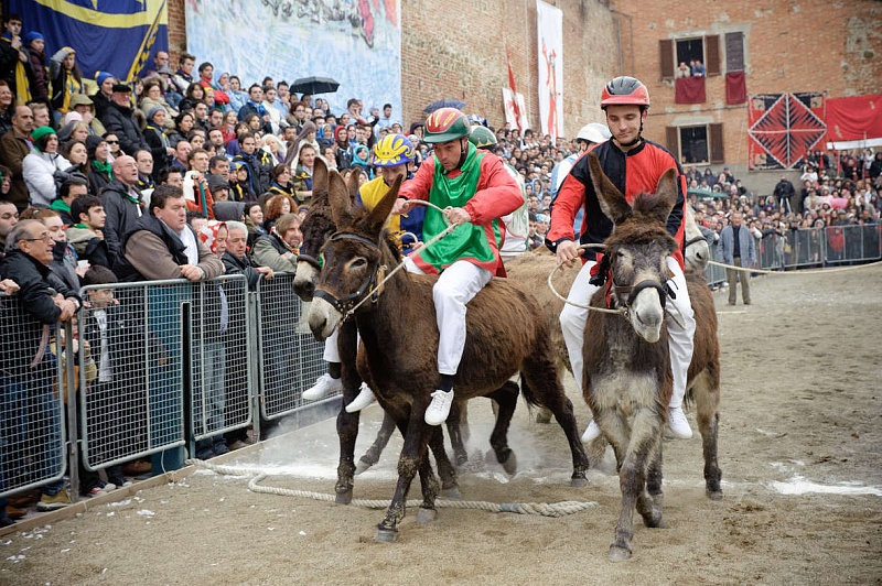 partenza-palio-2010.jpg