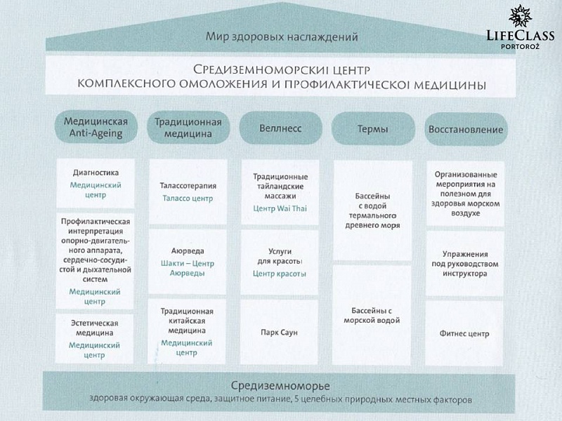 концепция.jpg