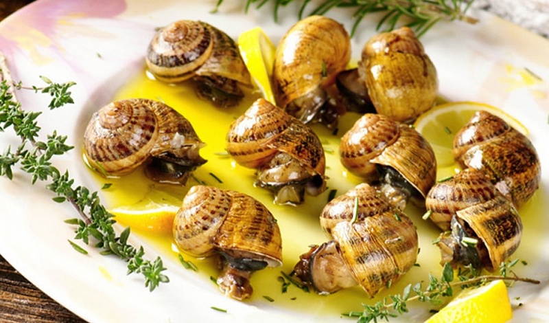 escargot2.jpg